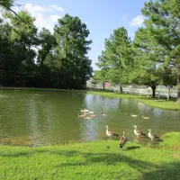 woodland-lakes-rv-park-conre-o58mj