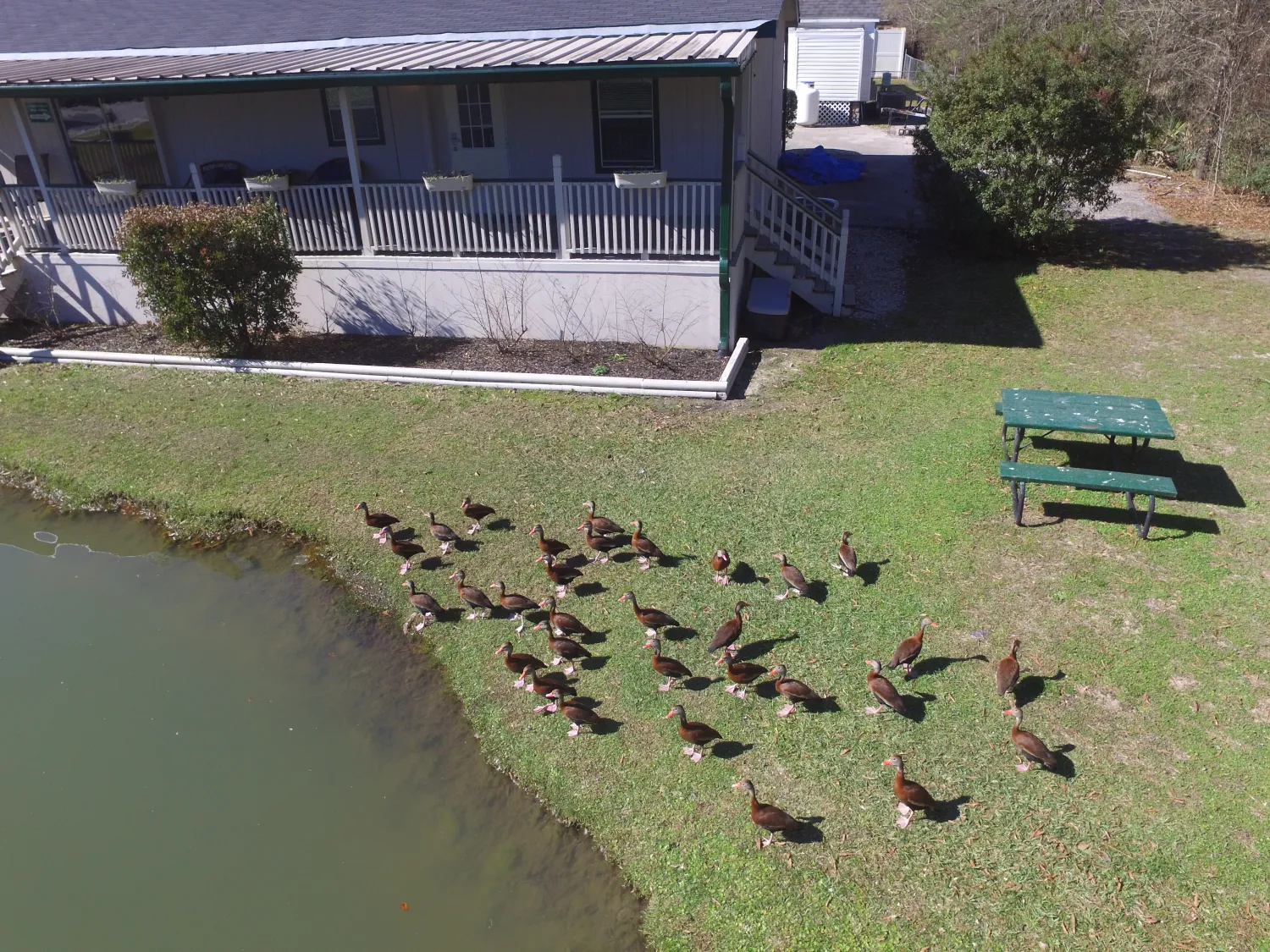 woodland-lakes-rv-park-conre-pjoog