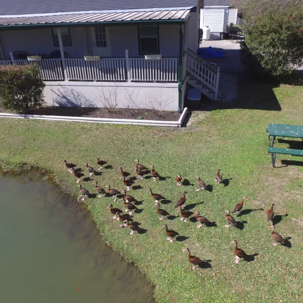 woodland-lakes-rv-park-conre-pjoog