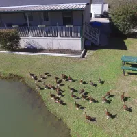Woodland Lakes RV Park