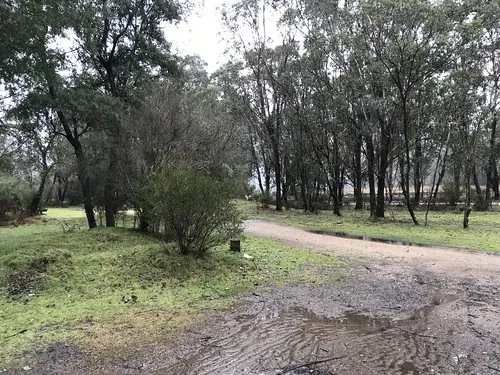 geehi-flats-campground-geehi-fhtt9