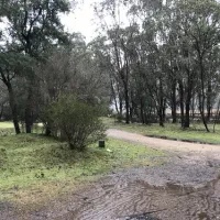 geehi-flats-campground-geehi-fhtt9