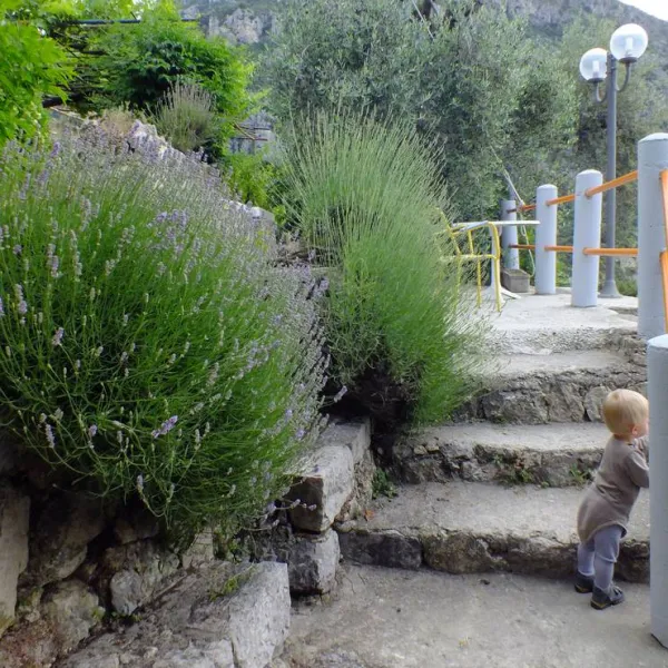 camping-la-giandolla-gorbio-ujod1