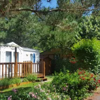 les-cabanes-doleron-st-georges-doleron-ile-doleron-4ki18