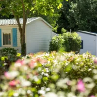 les-cabanes-doleron-st-georges-doleron-ile-doleron-uyntx