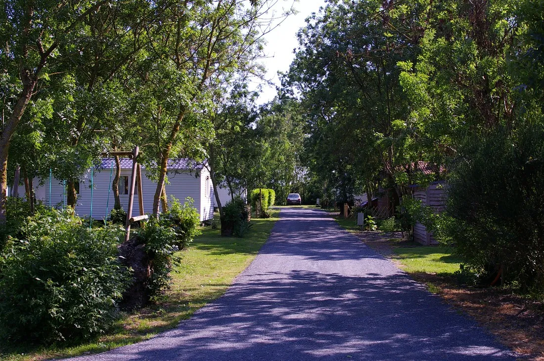 lilot-des-marais-le-langon-kdrwy
