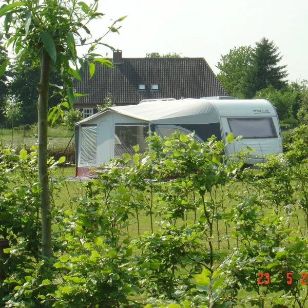 den-tiel-merselo-gjnzk