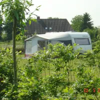den-tiel-merselo-gjnzk