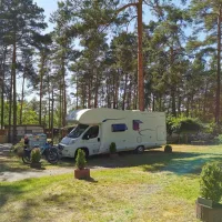 waldcamping-am-grosssee-tauer-04bie
