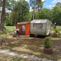 waldcamping-am-grosssee-tauer-b1sdy