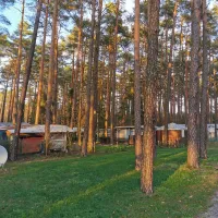 waldcamping-am-grosssee-tauer-gdrx1