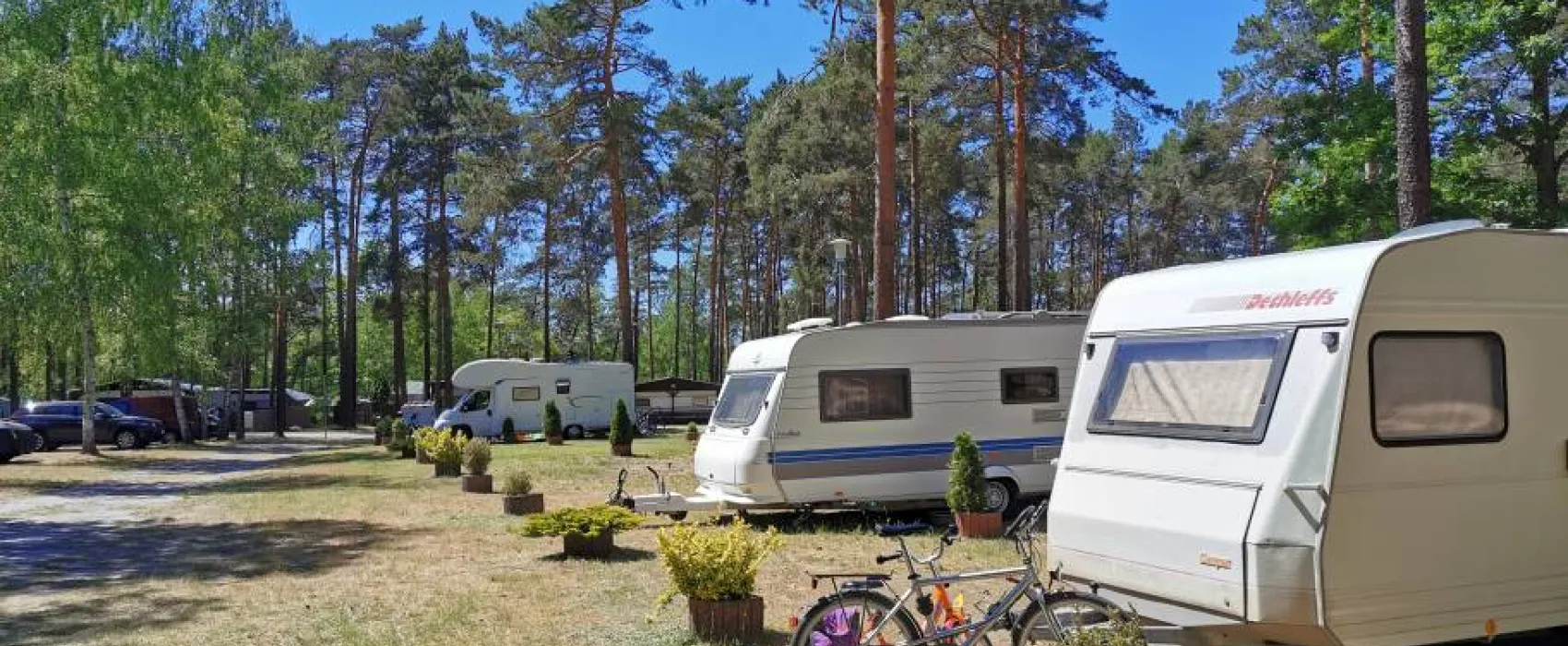 Waldcamping Am Großsee