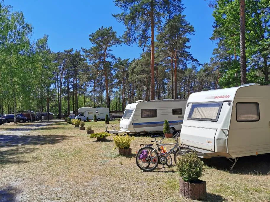 waldcamping-am-grosssee-tauer-lkpts