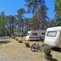 waldcamping-am-grosssee-tauer-lkpts
