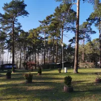 waldcamping-am-grosssee-tauer-oh22m