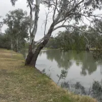 wheogo-park-campground-forbes-x6hgu
