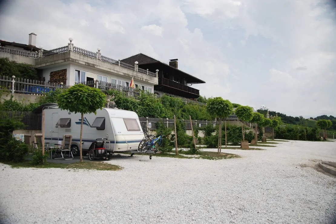 weinberg-naturpark-panoramacamping-sausalerland-standra-hoch-1g76z