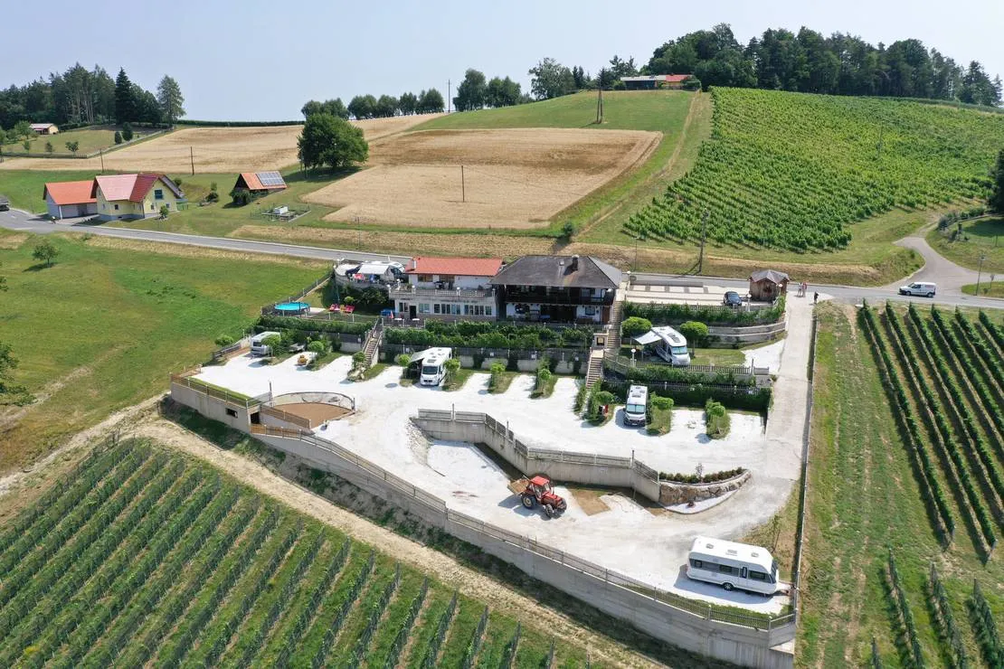 weinberg-naturpark-panoramacamping-sausalerland-standra-hoch-pnady