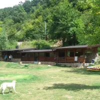 camp-buk-kulen-vakuf-bihac-8bjjl