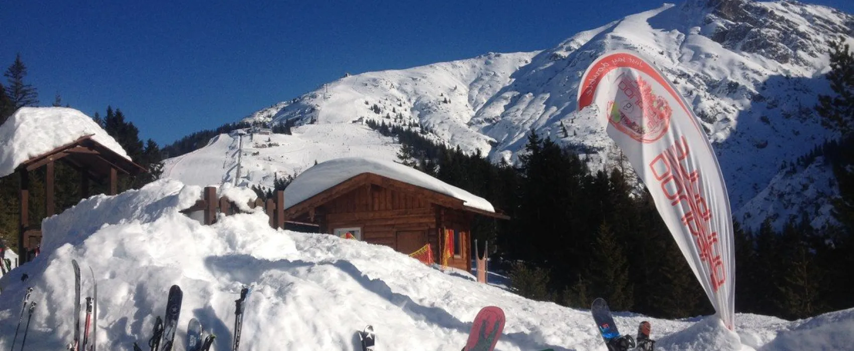 Alpin