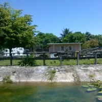 Davie/Ft. Lauderdale KOA