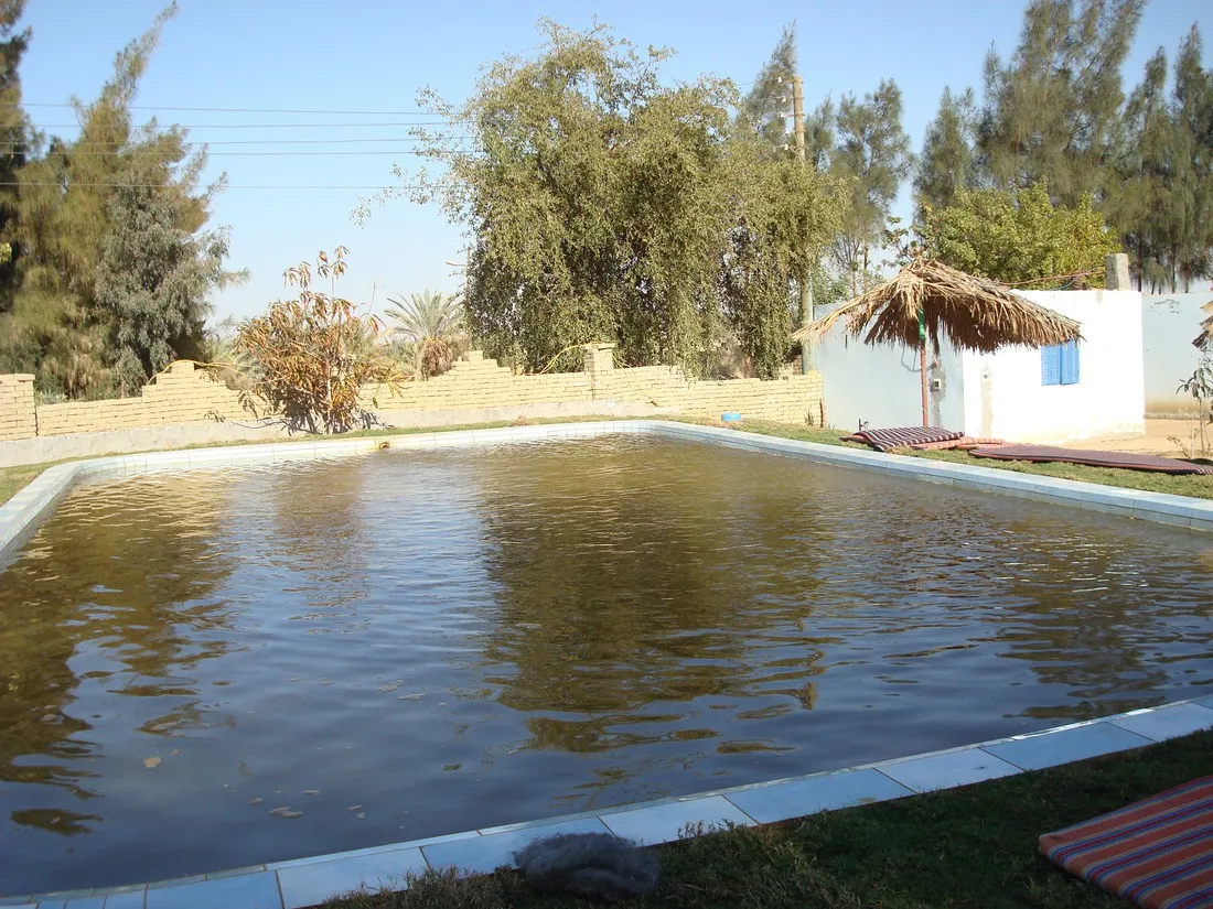 eden-garden-camp-bahariya-jktee