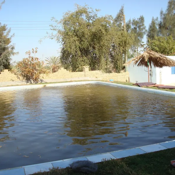eden-garden-camp-bahariya-jktee