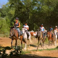 camping-a-lombre-des-oliviers-cazilhac-brei2