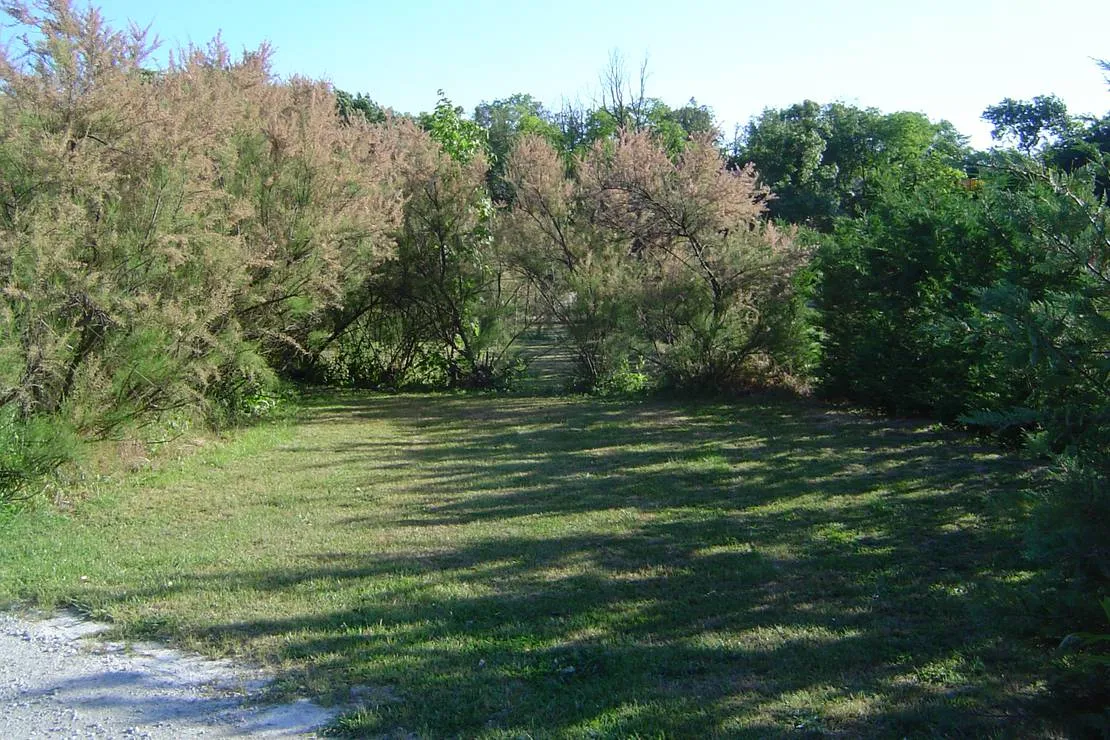 camping-a-lombre-des-oliviers-cazilhac-cnvxw