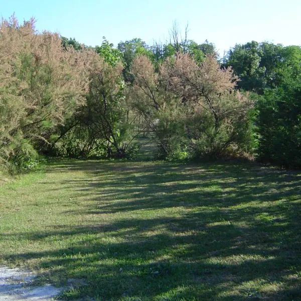 camping-a-lombre-des-oliviers-cazilhac-cnvxw