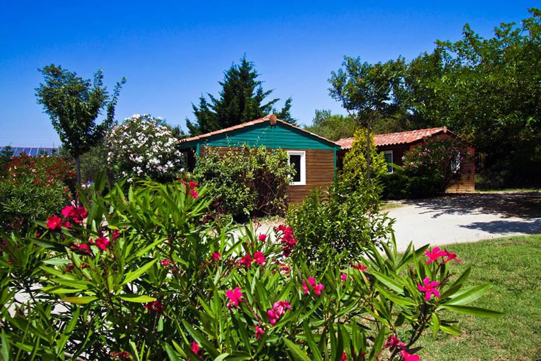 camping-a-lombre-des-oliviers-cazilhac-hzori