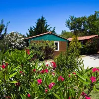 camping-a-lombre-des-oliviers-cazilhac-hzori