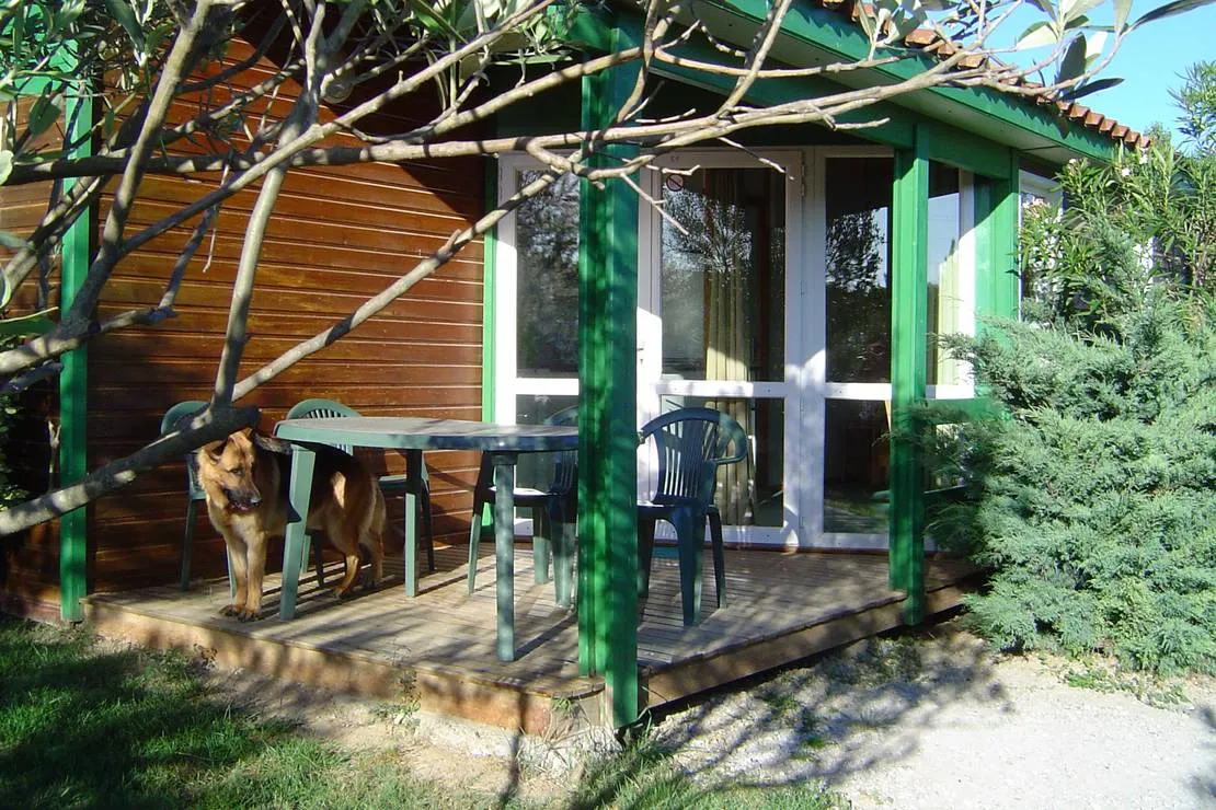 camping-a-lombre-des-oliviers-cazilhac-mdzv3
