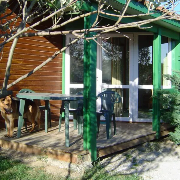camping-a-lombre-des-oliviers-cazilhac-mdzv3