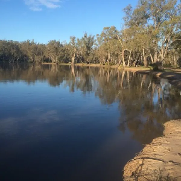 nyah-state-forest-campground-fvfqi