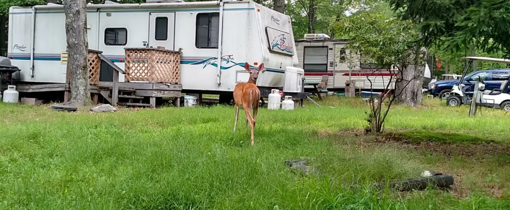 Secluded Acres Campground