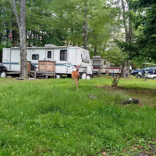 Secluded Acres Campground