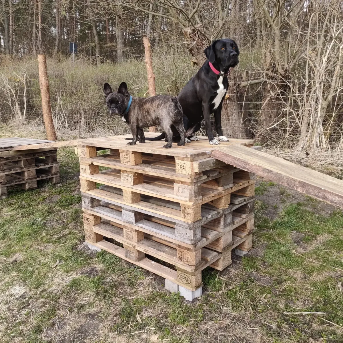 campinghof-am-grunen-baum-neustrelitz-6rb6g