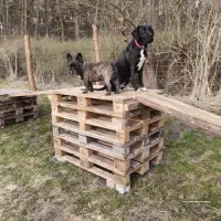 campinghof-am-grunen-baum-neustrelitz-6rb6g