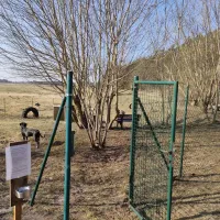 campinghof-am-grunen-baum-neustrelitz-7rpwy