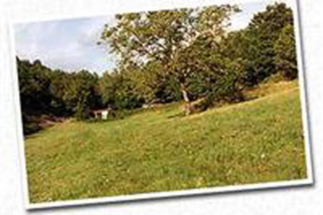 camping-a-la-ferme-chez-sylvie-et-serge-orliaguet-niv1y