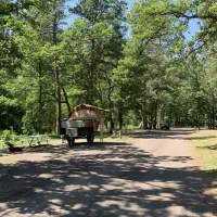 grace-coolidge-campground-custer-hznb5