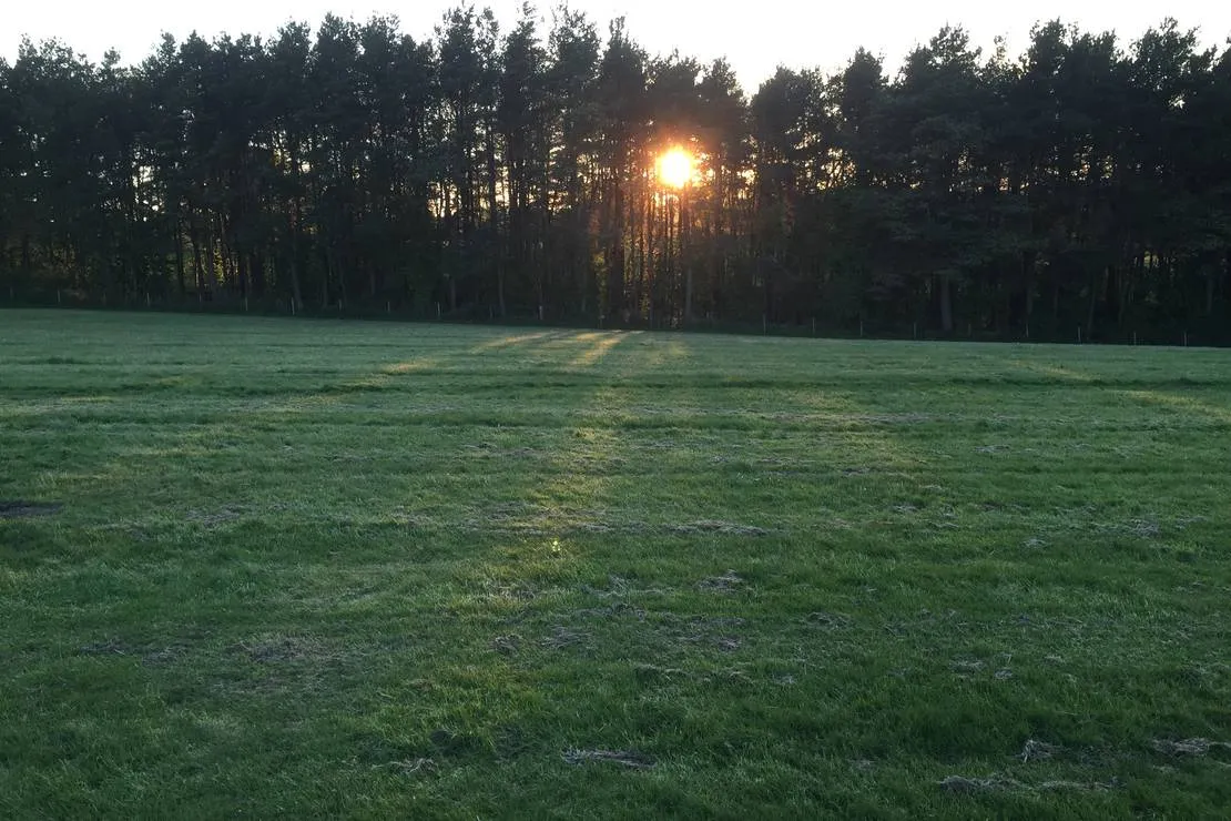 breaks-fold-farm-harrogate-qscmr
