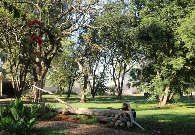 addo-african-home-addo-7rcqk