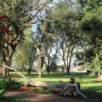 addo-african-home-addo-7rcqk