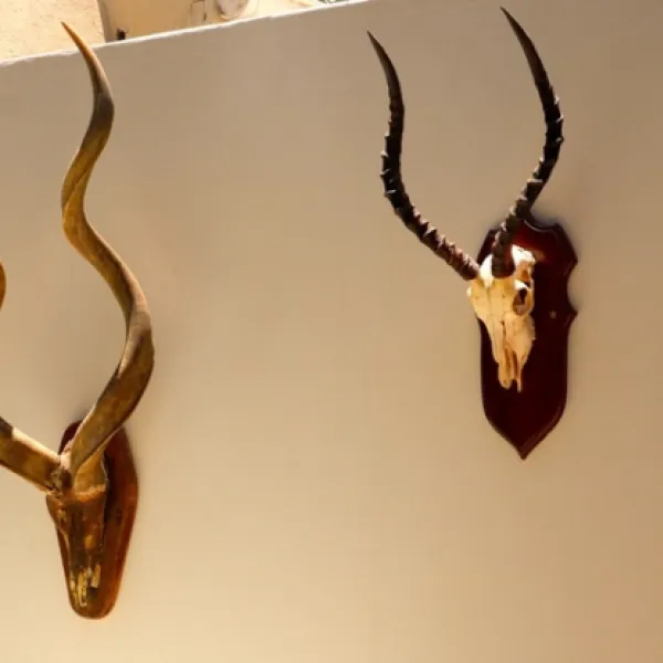 addo-african-home-addo-9rfyo