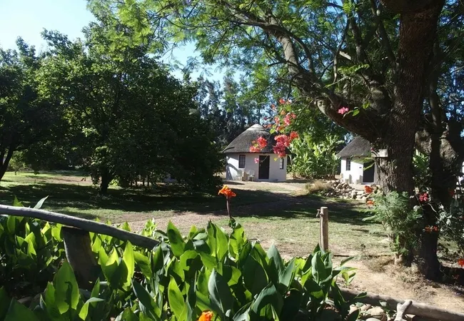 addo-african-home-addo-ivlax