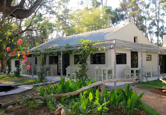 addo-african-home-addo-ivxfy