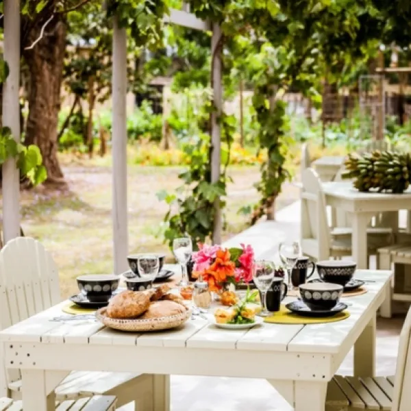 addo-african-home-addo-nnugs