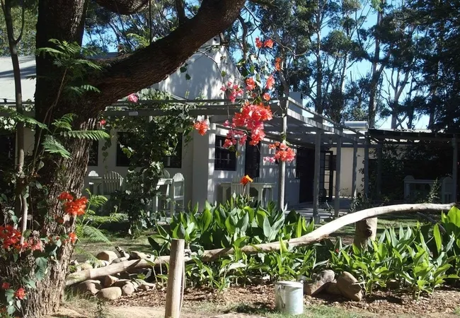 addo-african-home-addo-vi7er
